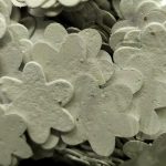 Biodegradable Seed Paper Confetti